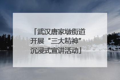 武汉唐家墩街道开展“三大精神”沉浸式宣讲活动